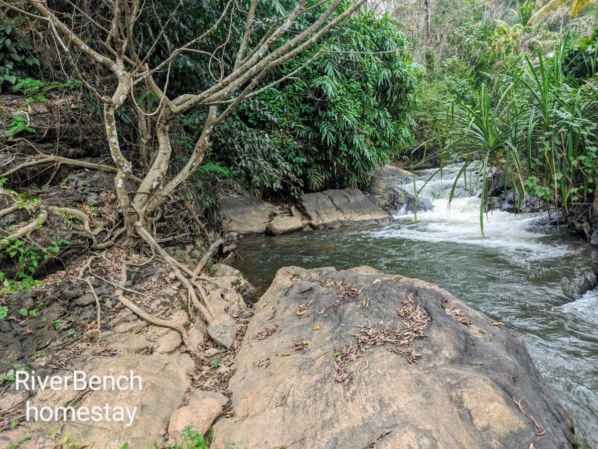 Riverbench Homestay Munnar, Anaviratty 外观 照片