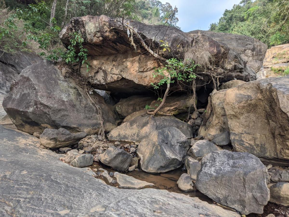 Riverbench Homestay Munnar, Anaviratty 外观 照片