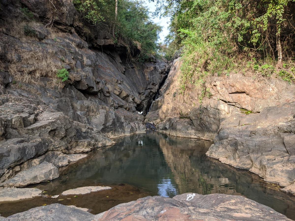 Riverbench Homestay Munnar, Anaviratty 外观 照片