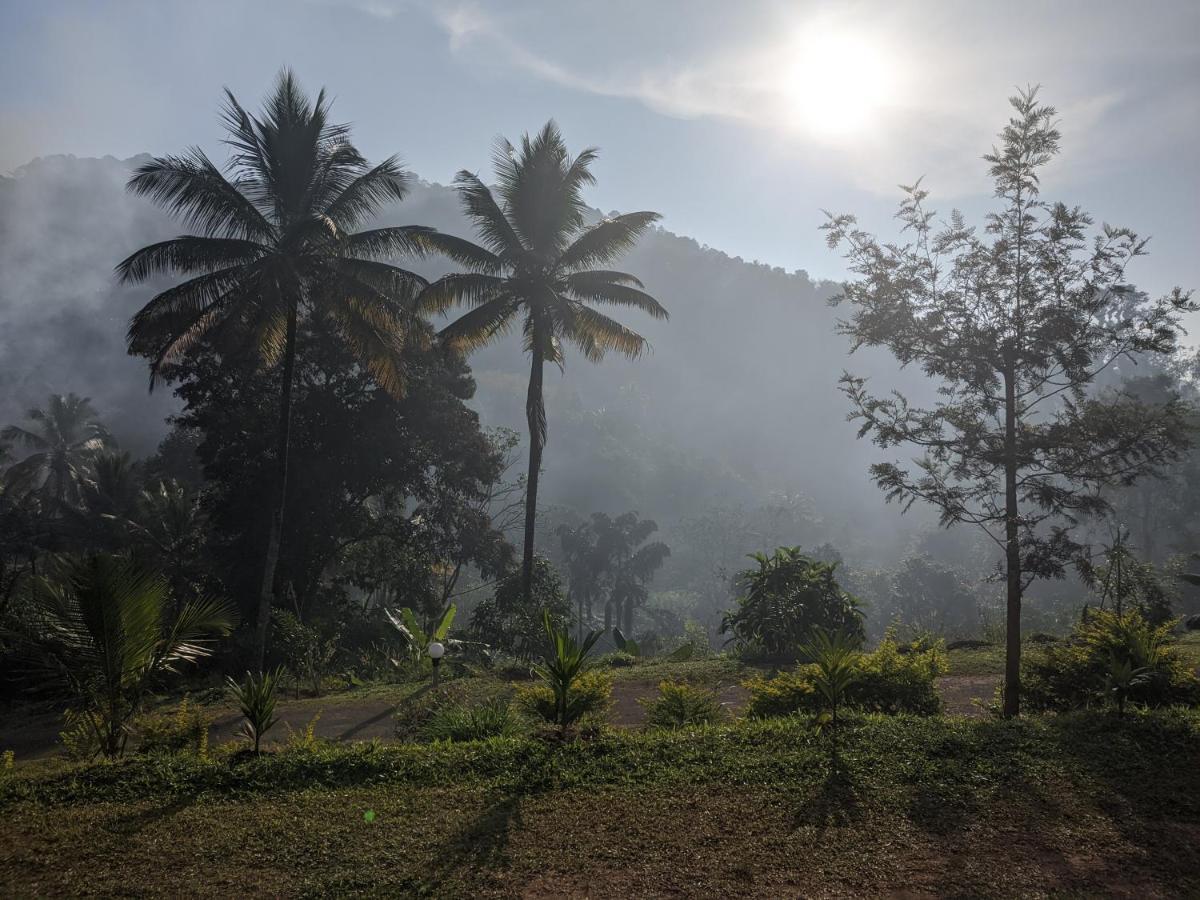 Riverbench Homestay Munnar, Anaviratty 外观 照片