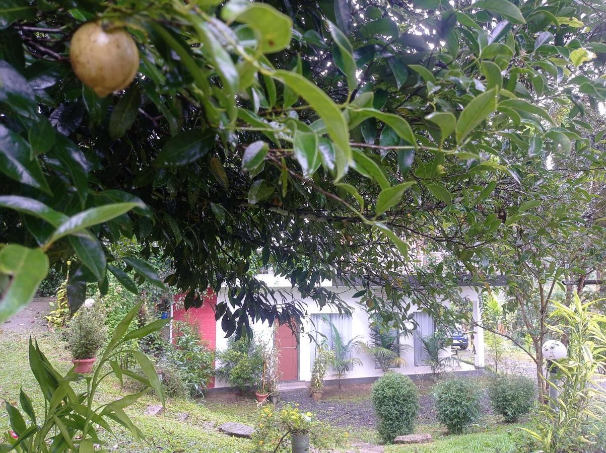 Riverbench Homestay Munnar, Anaviratty 外观 照片