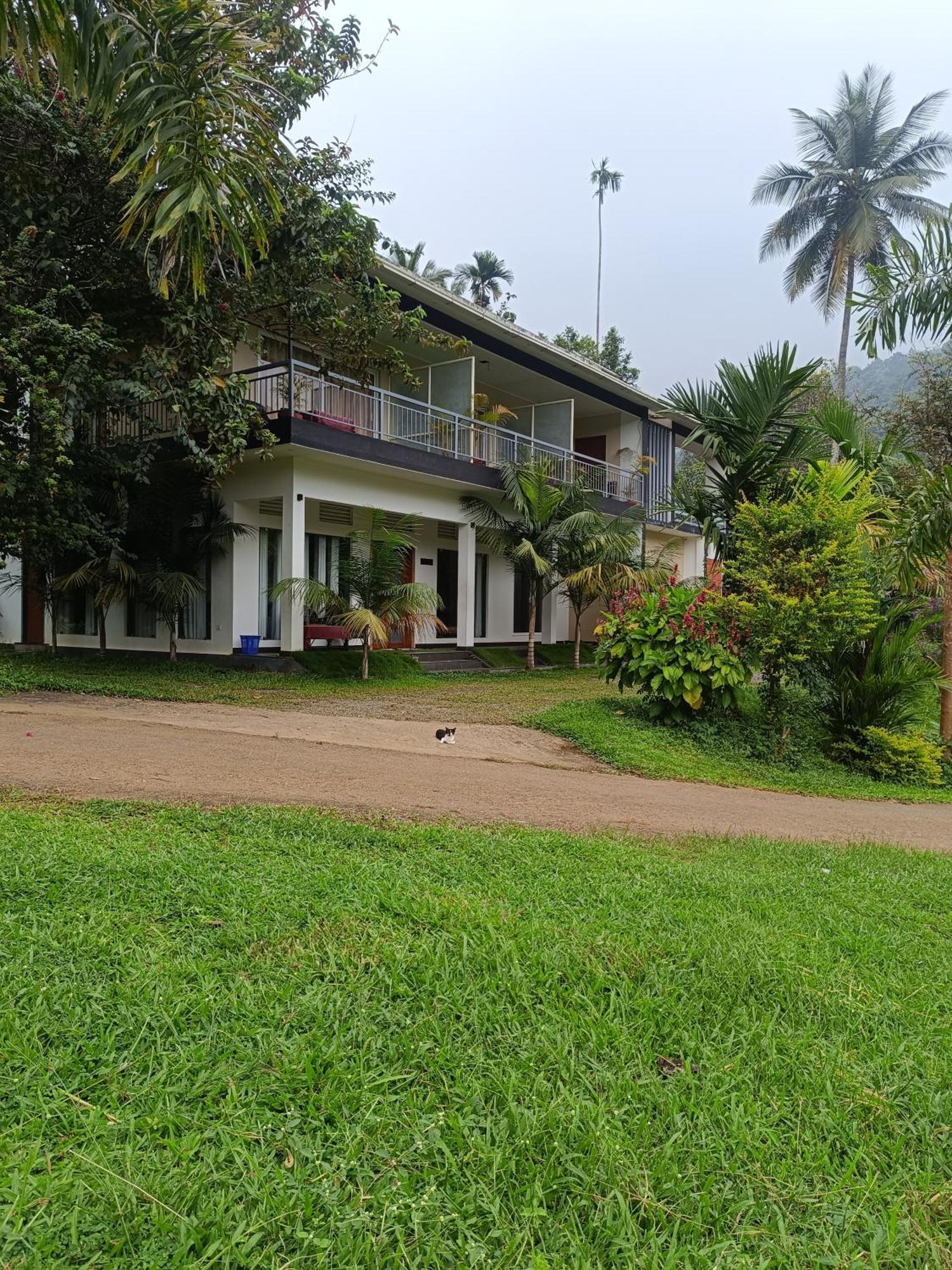 Riverbench Homestay Munnar, Anaviratty 外观 照片