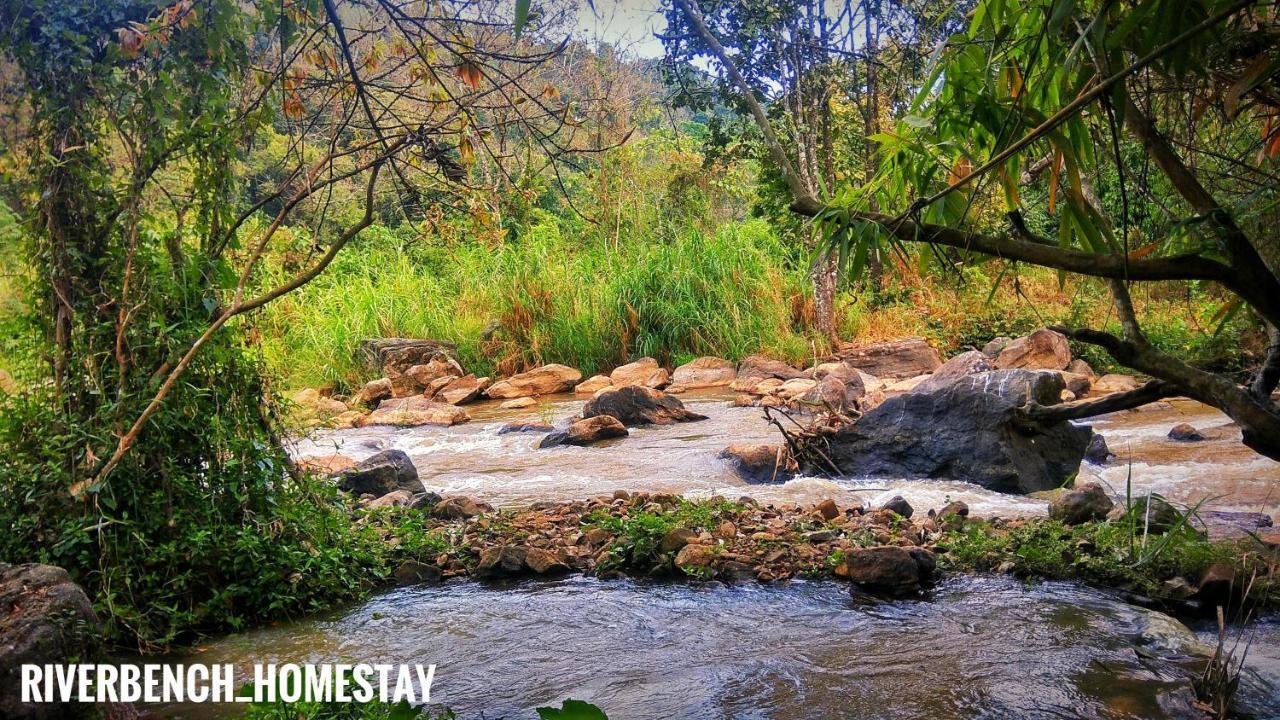 Riverbench Homestay Munnar, Anaviratty 外观 照片